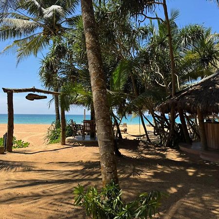 Hotel Coconut Bar Bentota Exterior foto