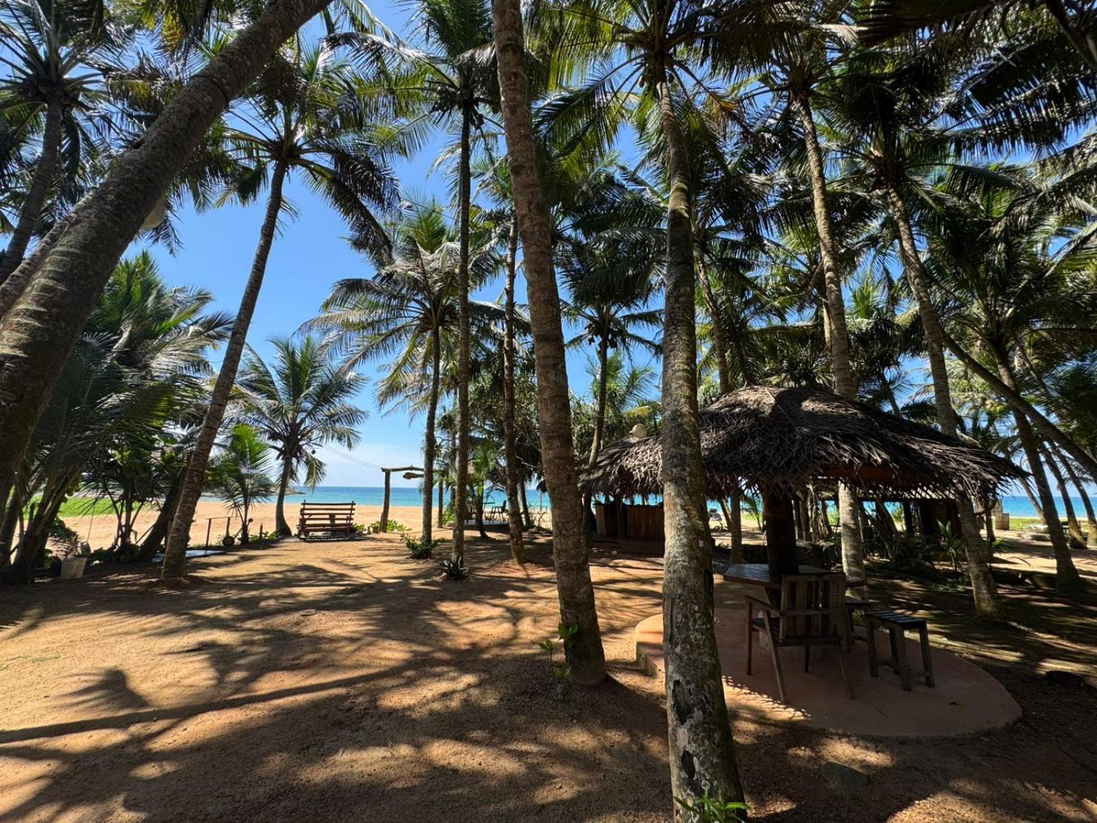 Hotel Coconut Bar Bentota Exterior foto
