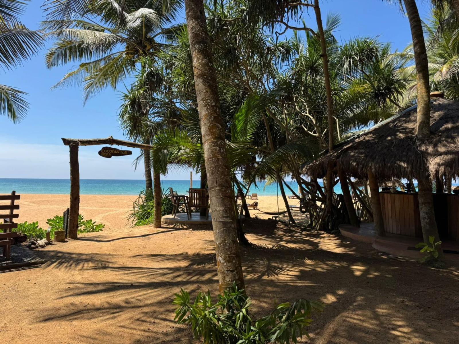 Hotel Coconut Bar Bentota Exterior foto
